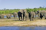 Namibia, Botswana, Simbabwe - Rundreise