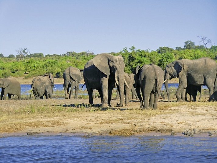 Namibia, Botswana, Simbabwe - Rundreise
