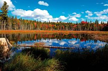 Kanada Rundreise - Von Ost nach West - Algonquin Provincial Park