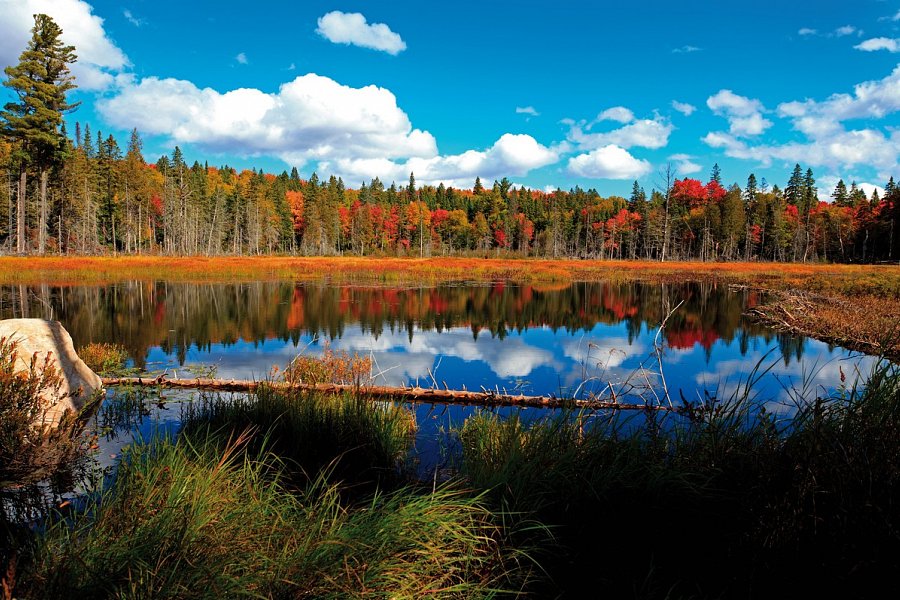 Kanada Rundreise - Von Ost nach West - Algonquin Provincial Park