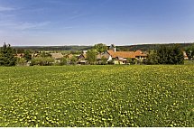 CAREA Harzhotel Allrode - Thale
