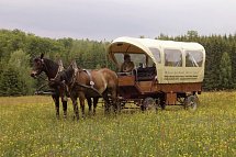 CAREA Harzhotel Allrode - Ausflug mit dem Pferdewagen