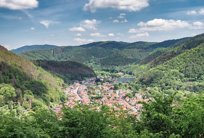 Panoramic Hotel – Ihr Aparthotel im Harz - Bad Lauterberg im Harz