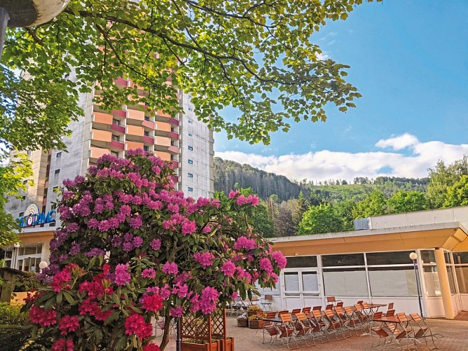Panoramic Hotel – Ihr Aparthotel im Harz - Panoramic Hotel – Aparthotel im Harz