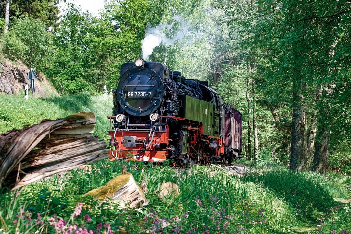 re.vita – naturresort & spa - Brockenbahn