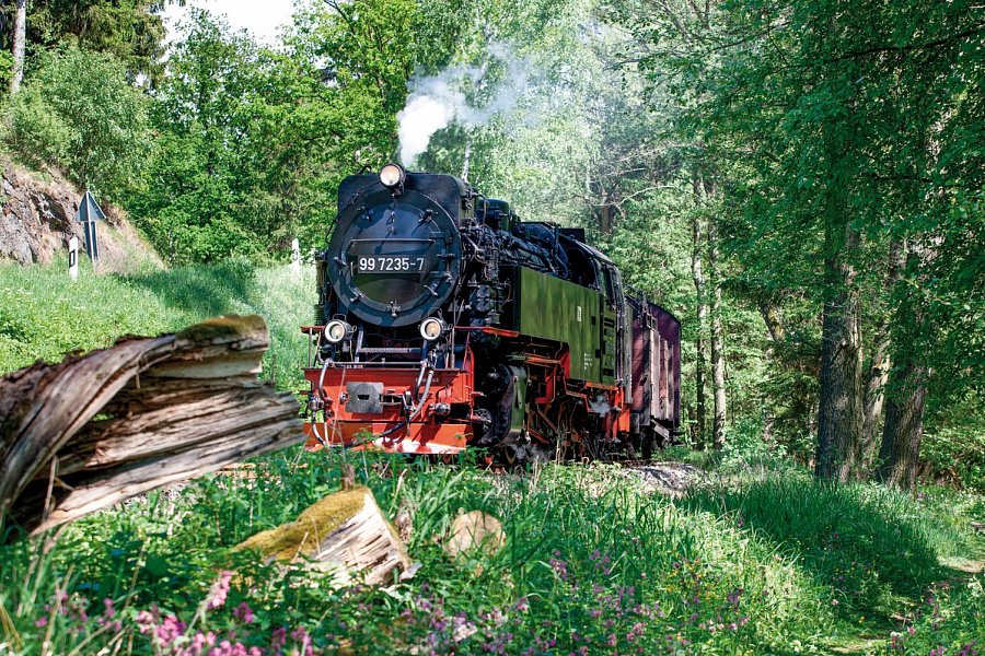 re.vita – naturresort & spa - Brockenbahn