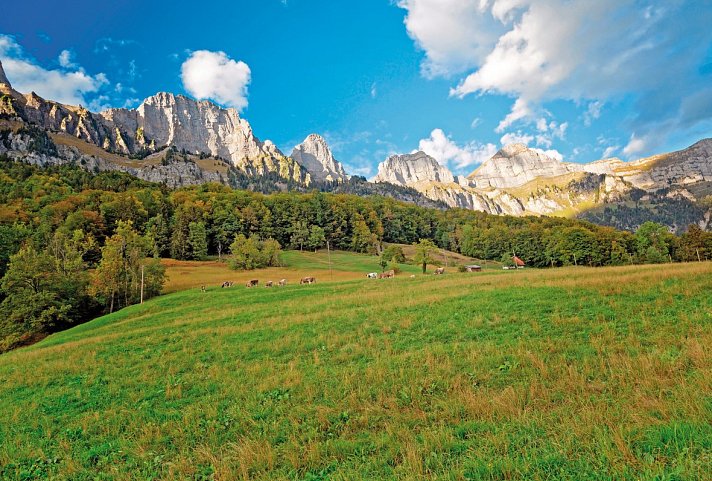 Hotel Knobelboden - Churfirsten