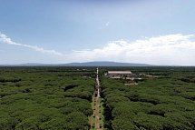 Horse Country Resort & Spa - Umgebung