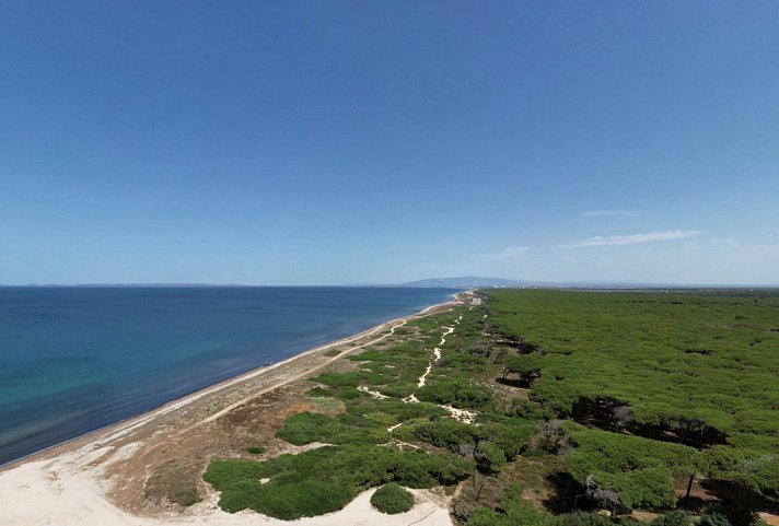 Horse Country Resort & Spa - Strand mit Pinienwäldern