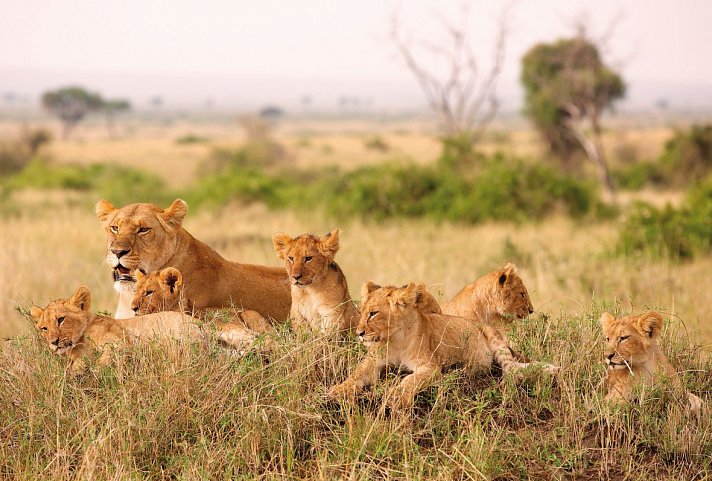 Große Afrika Rundreise - Krüger Nationalpark