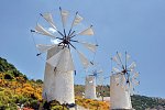 Aelius Hotel & Spa