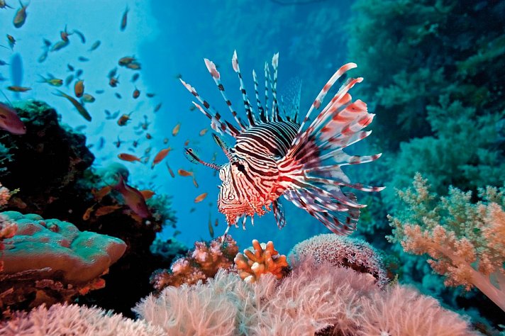 Nilkreuzfahrt und Baden in Hurghada