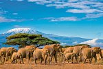 Tansania & Kenia Rundreise mit Baden