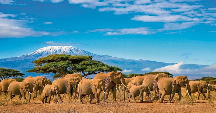 Tansania & Kenia Rundreise mit Baden