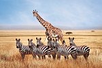 Tansania & Kenia Rundreise mit Baden