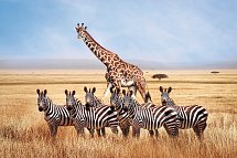 Tansania & Kenia Rundreise mit Baden