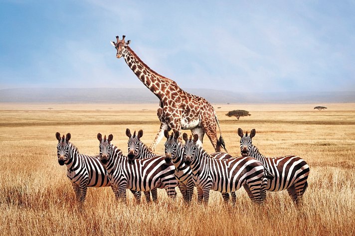 Tansania & Kenia Rundreise mit Baden
