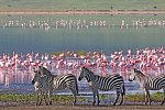 Tansania & Kenia Rundreise mit Baden