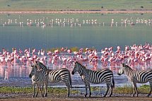Tansania & Kenia Rundreise mit Baden