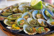Aeolos Beach Hotel - Muscheln