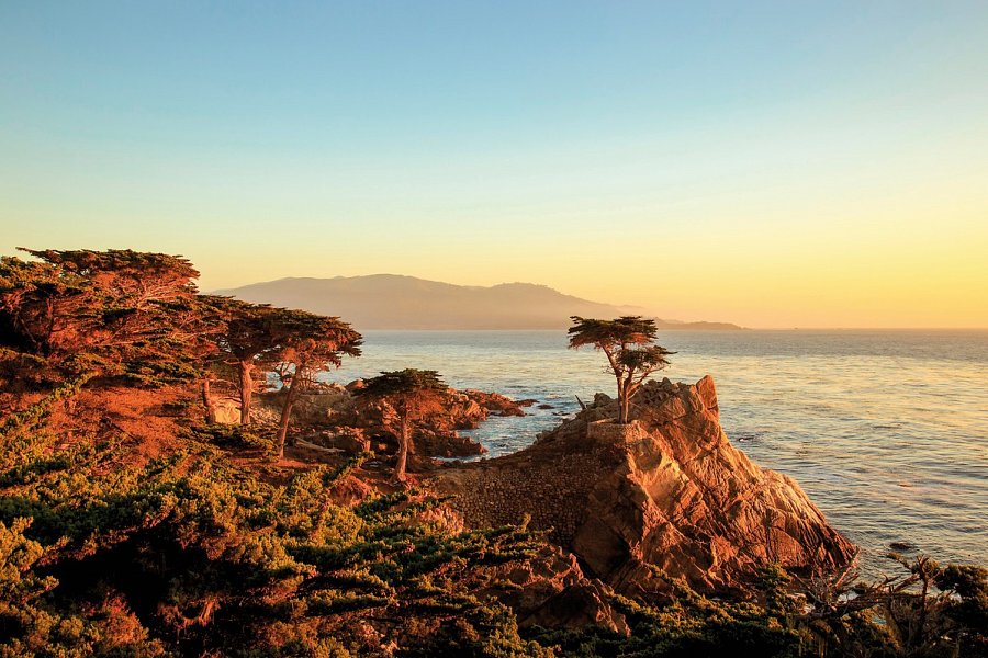USA / Westen Rundreise - 17-Mile Drive