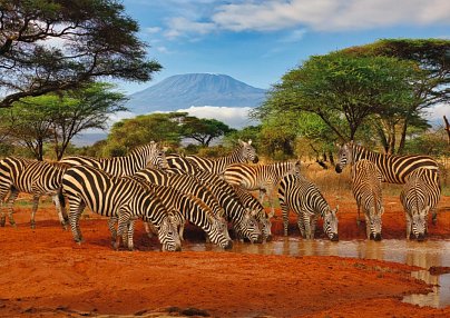 Kenia Safari und Baden – Hotel Severin Sea Lodge