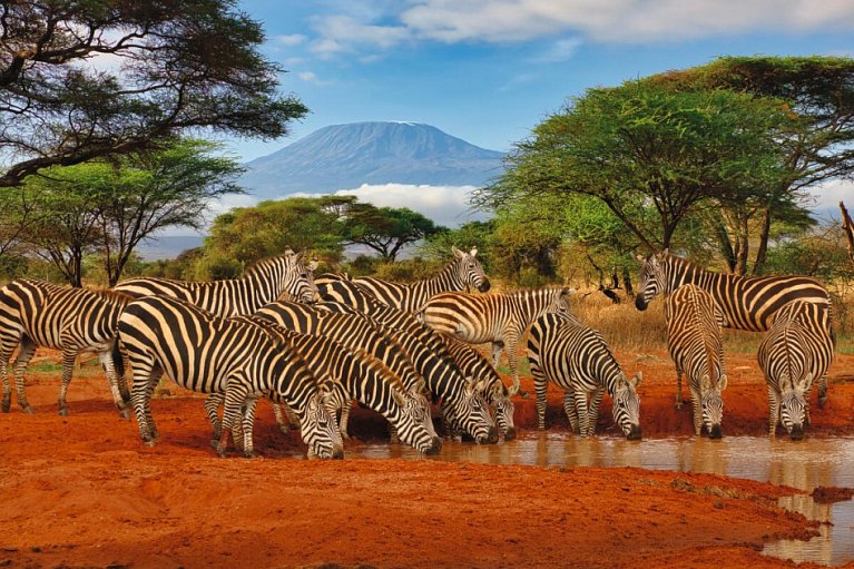 Kenia Safari und Baden – Hotel Severin Sea Lodge - Tsavo West Nationalpark