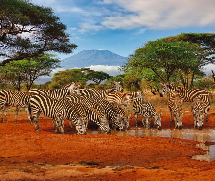 Kenia Safari und Baden – Hotel Severin Sea Lodge