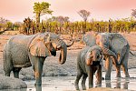 Kenia Safari und Baden – Hotel Severin Sea Lodge