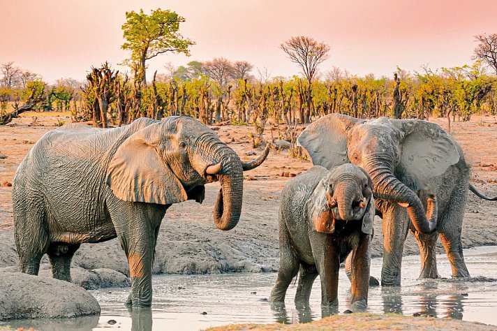 Kenia Safari und Baden – Hotel Severin Sea Lodge