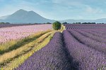 Südfrankreich Rundreise
