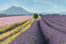 Südfrankreich Rundreise - Provence