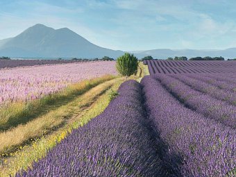 Südfrankreich Rundreise - Provence