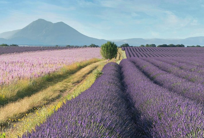 Südfrankreich Rundreise - Provence