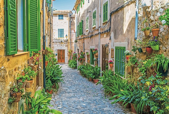 Mallorca zur Blütezeit (Hotel Bahía del Sol) - Valldemossa