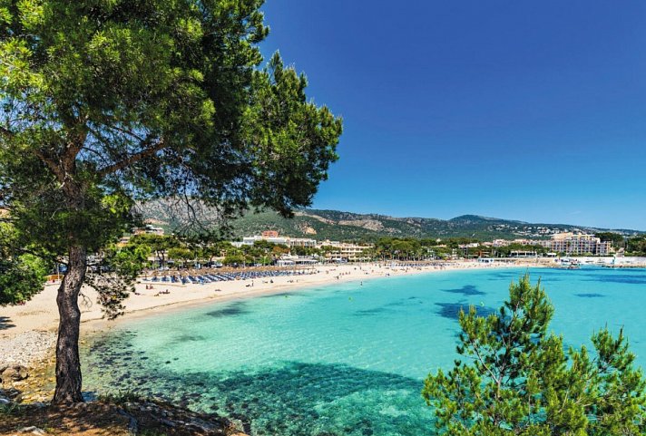 FERGUS Style Palmanova - Mallorca, Palmanova