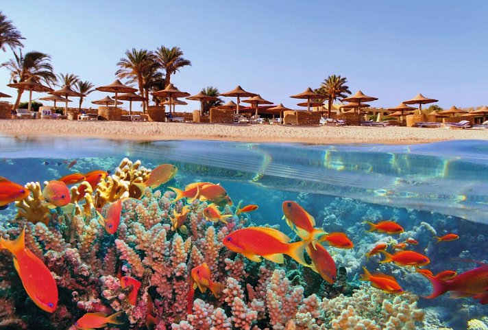 Hotel Novotel Marsa Alam - Marsa Alam