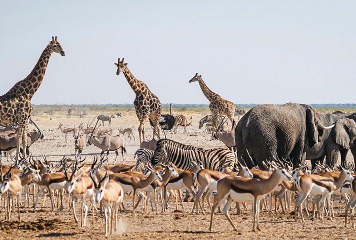 Namibia Rundreise
