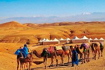 Marokkos Schätze - Küstenkultur, Marrakesch und die unendliche Weite der Wüste - Agafay-Wüste - Kamelritt