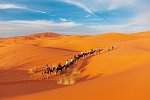 Marokkos Schätze - Küstenkultur, Marrakesch und die unendliche Weite der Wüste