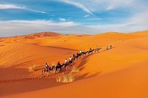 Marokkos Schätze - Küstenkultur, Marrakesch und die unendliche Weite der Wüste - Agafay-Wüste - Kamelritt