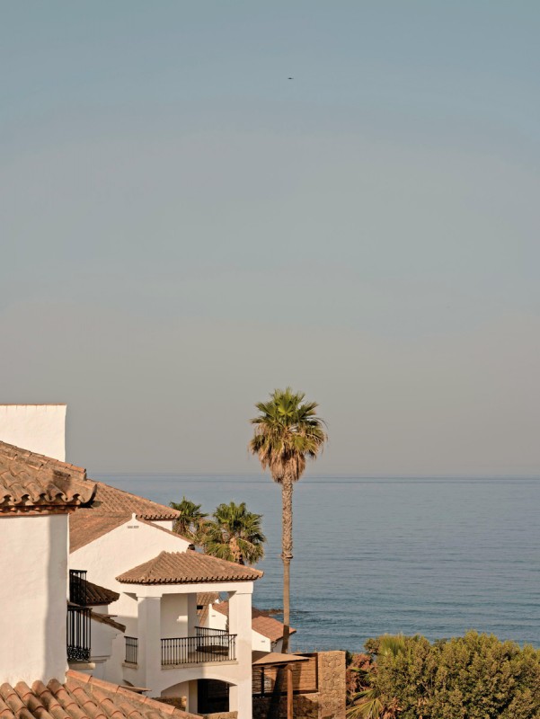 OKU Andalusia
