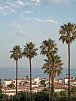 OKU Andalusia
