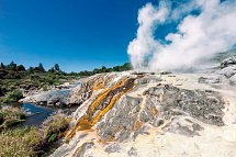 Erlebnis Neuseeland auf Schiene & Straße - Pohutu Geysir in Te Puia, Rotorua