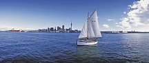 Neuseeland Intensiv - Auckland