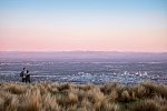 Neuseeland auf eigene Faust (Auckland-Christchurch)