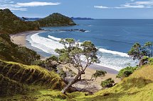 Neuseeland auf eigene Faust (Auckland-Christchurch) - Region um Whangarei