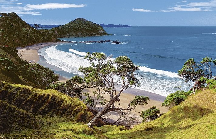 Neuseeland auf eigene Faust (Auckland-Christchurch)