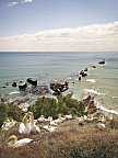 Neuseeland auf eigene Faust (Auckland-Christchurch) - Cape Kidnappers bei Napier