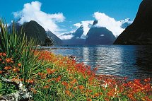 Zwischen Fjorden, Vulkanen & Küsten - Neuseeland entdecken - Milford Sound